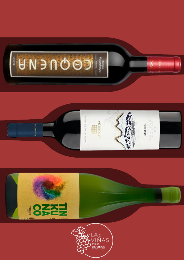 Producto - Suscripción Envero Mes De Enero