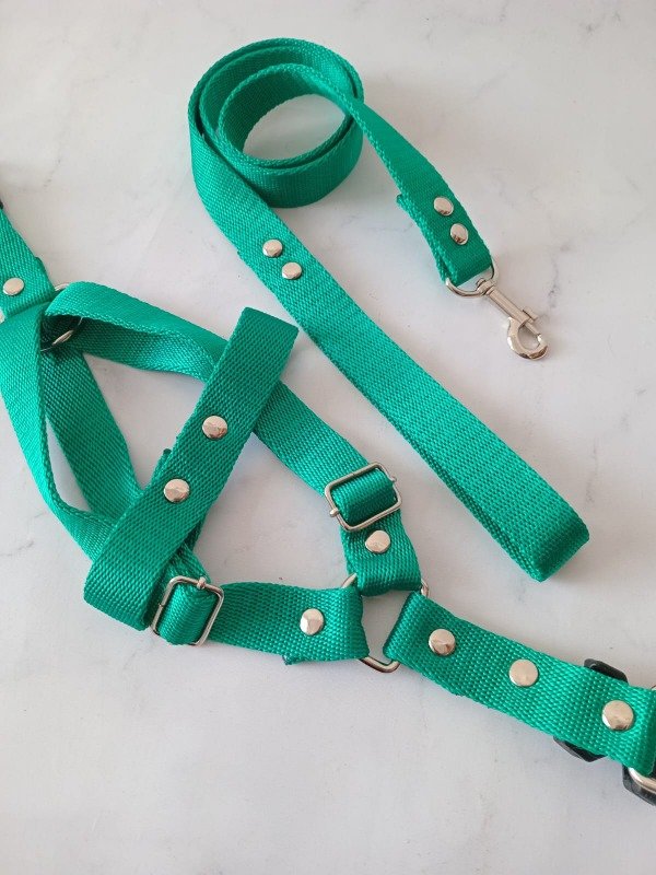 Producto - Pechera + correa Verde