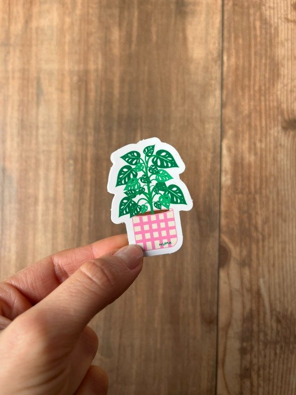 Producto - Sticker vinilo blanco PLANTA