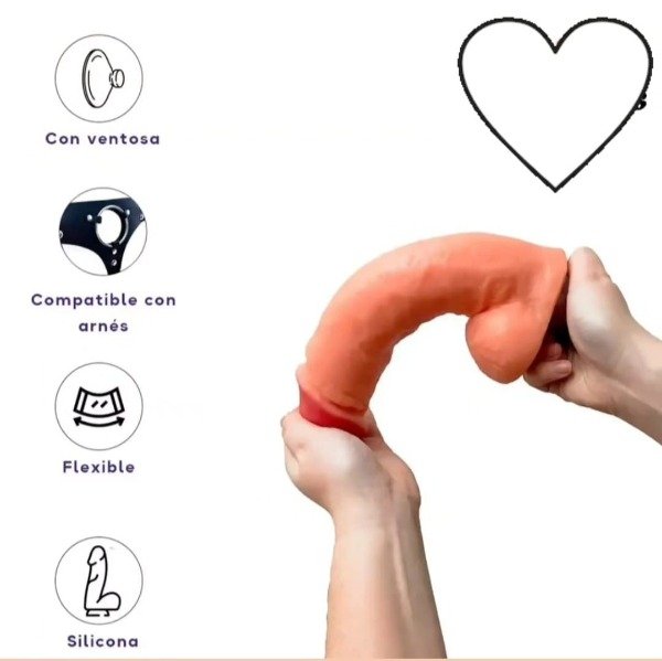 Producto - DILDO NEGRO CON VENTOSA 19 X 4,5 CM - 1