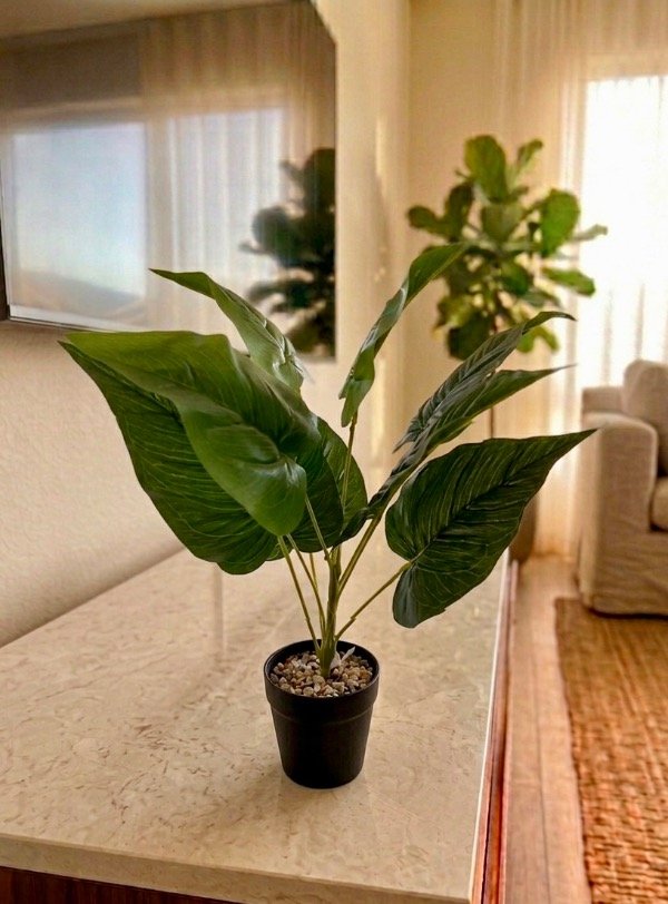 Producto - Planta chica