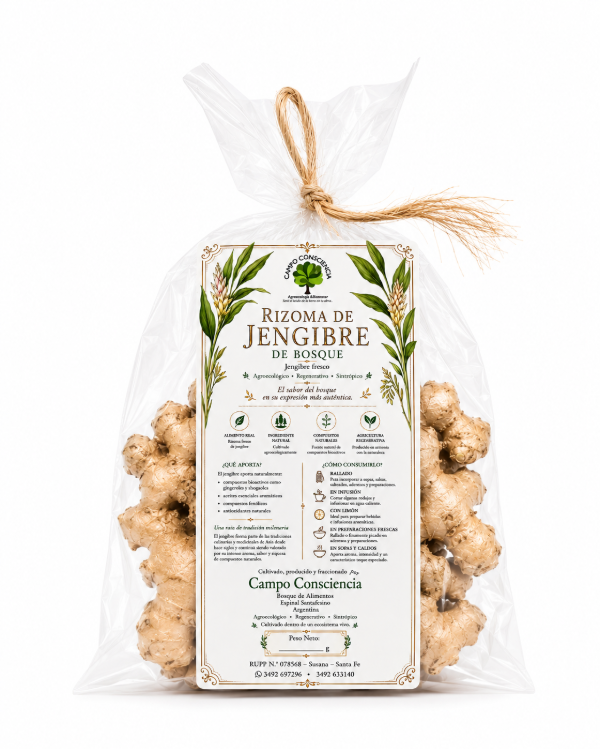 Producto - Rizoma de Jengibre de Bosque Agroecológico - 100 g