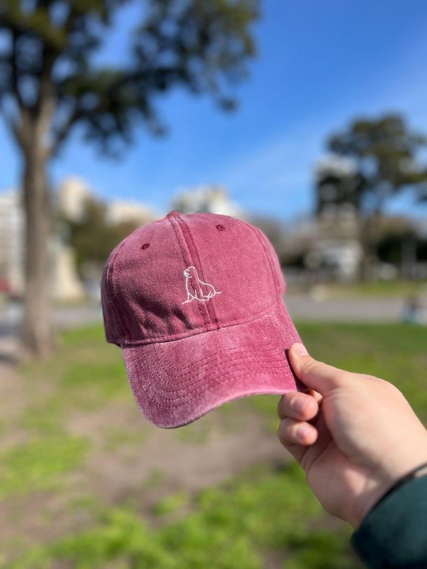 Producto - Gorra lobo marino bordo