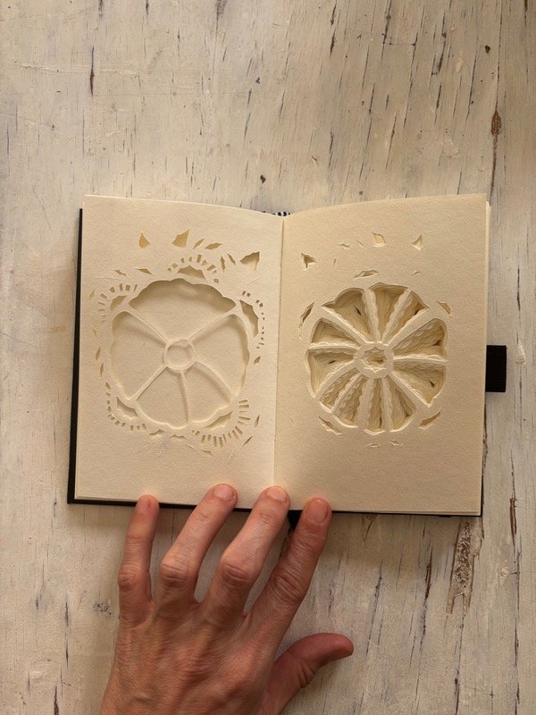 Producto - Jardín vegetal