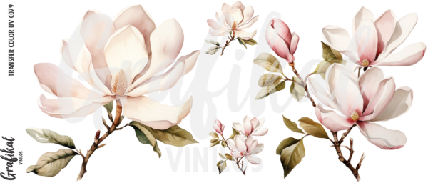 Producto - TransferColorUV C079