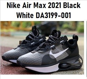 Producto - Nike Air Max 2021 Black White DA3199 001
