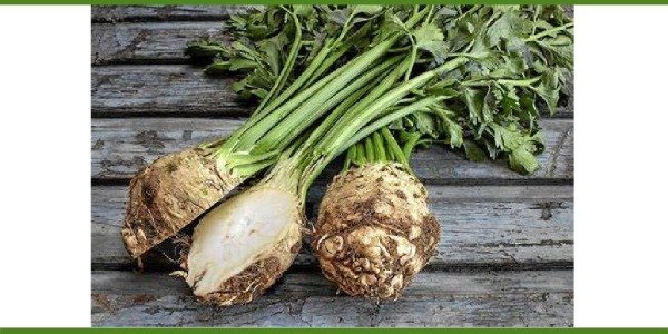 Producto - Apionabo agroecológico x unidad de medio kilo aprox.