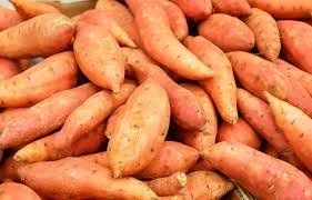 Producto - Boniato