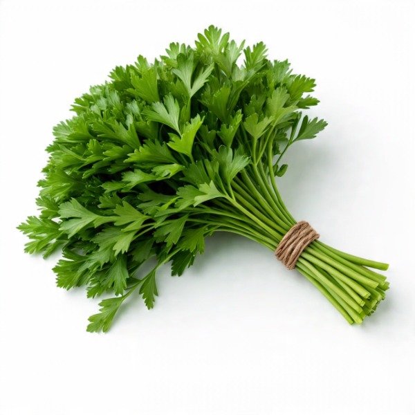 Producto - Atado de Perejil - Agroecológico