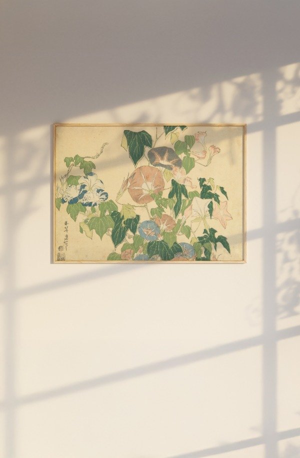 Producto - Morning glory