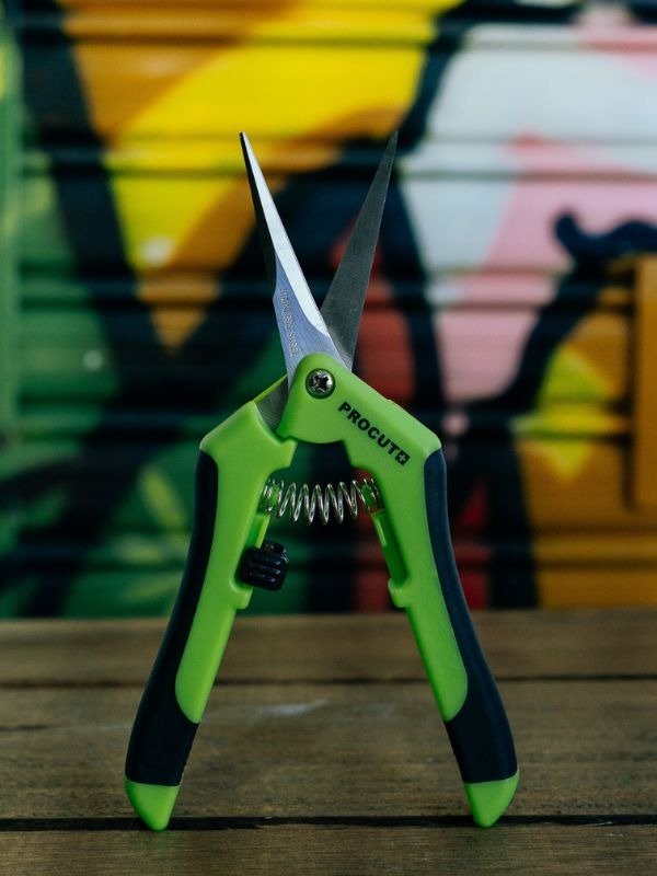 Producto - Tijera Cannalab