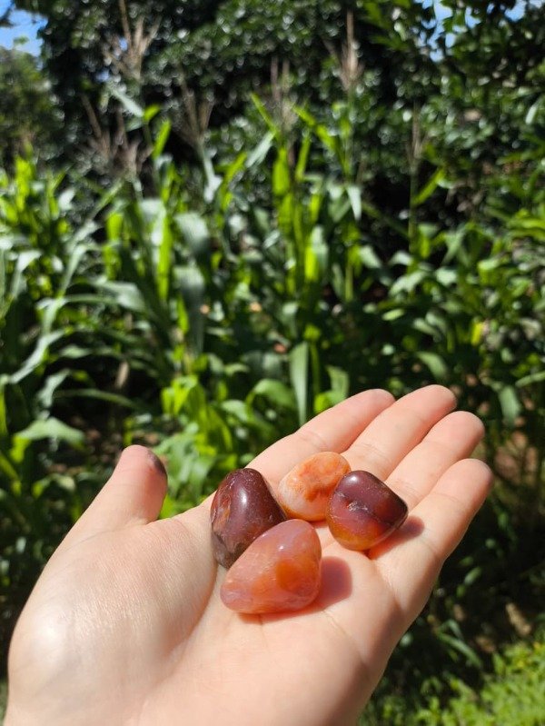 Producto - Cornalina - Aries