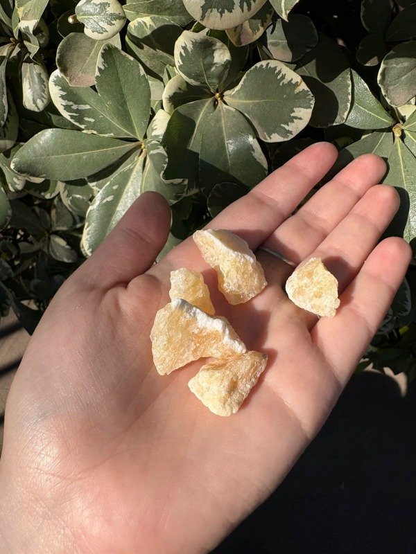 Producto - Aragonita Bruto Pequeña