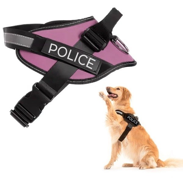 Producto - Pechera XS