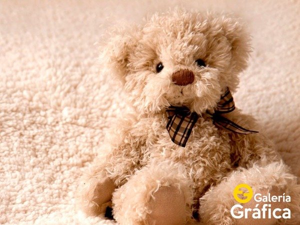 Producto - Ositos Peluches FS 02
