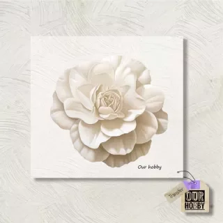 Producto - Transfolex color (plancha) 038