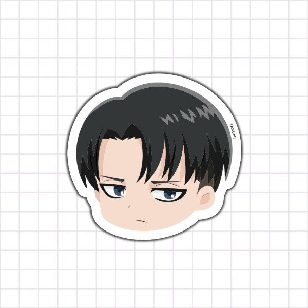 Producto - Levi