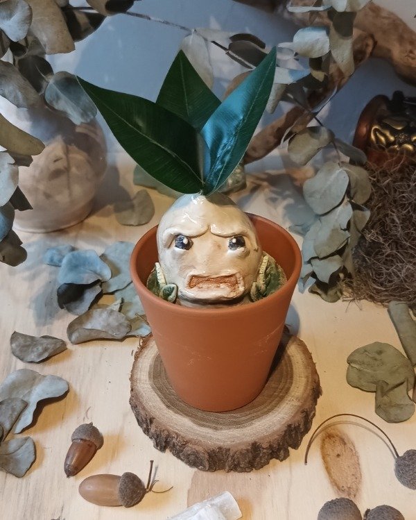 Producto - Mandrágora I