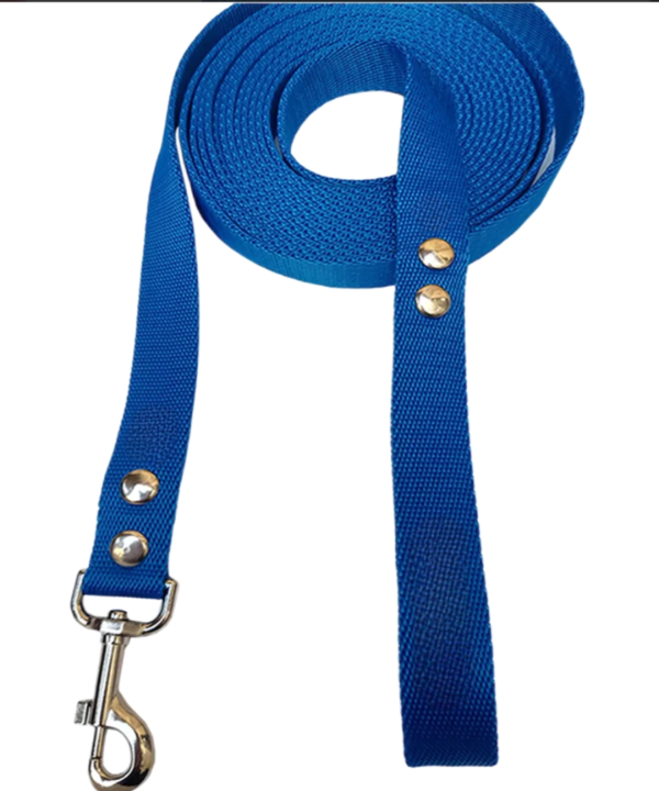 Producto - Correa de paseo 3 mts