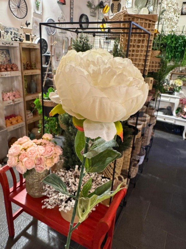 Producto - Vara Peonia blanca 50 cm (Efectivo: 3.600)