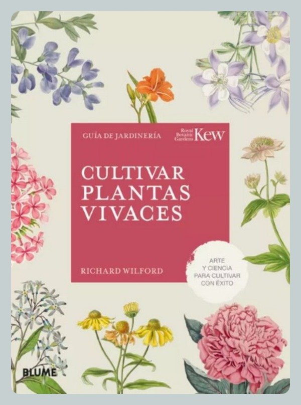 Producto - Wilford: Cultivar Plantas Vivaces