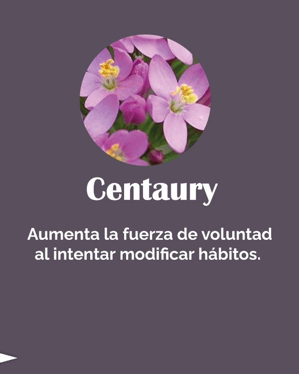 Miniatura de producto - 8