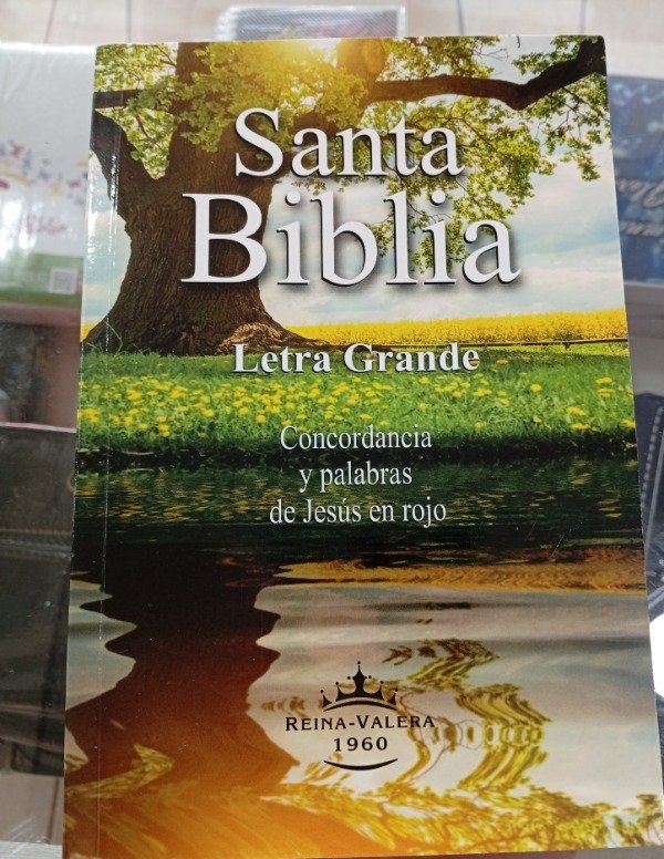 Producto - Biblia Letra grande tapa rustica
