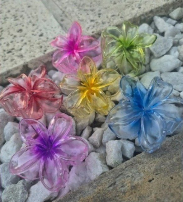 Producto - Broche Hawaiano Mediano Traslucido