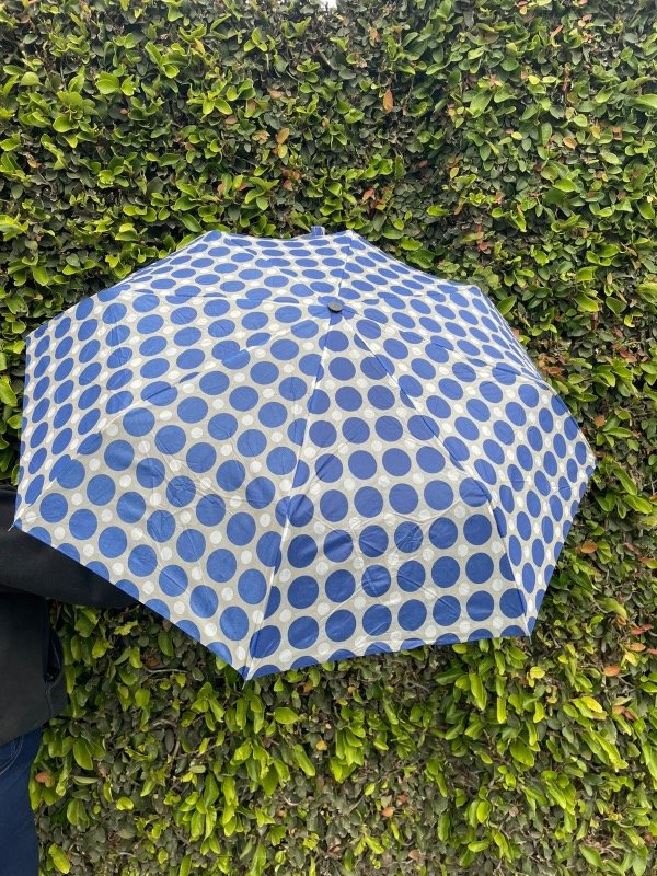 Producto - Paraguas estampados - 1