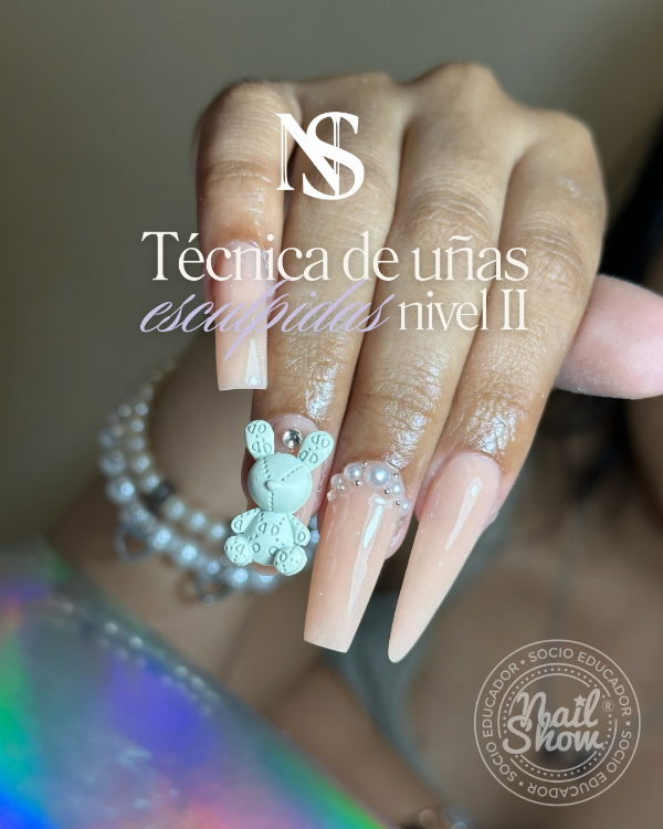 Producto - Curso Profesional de Técnica nivel 2 - 0