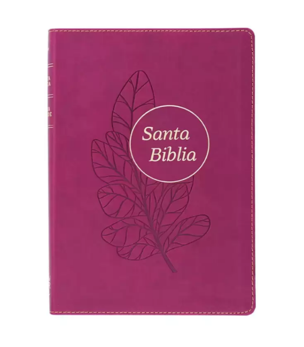 Producto - BIBLIA LETRA GRANDE RVR IMITACIÓN PIEL CIRUELA