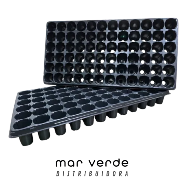 Producto - Bandeja propagadora de clones Carluccio