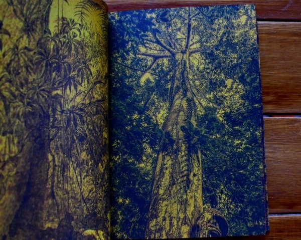 Miniatura de producto - 6