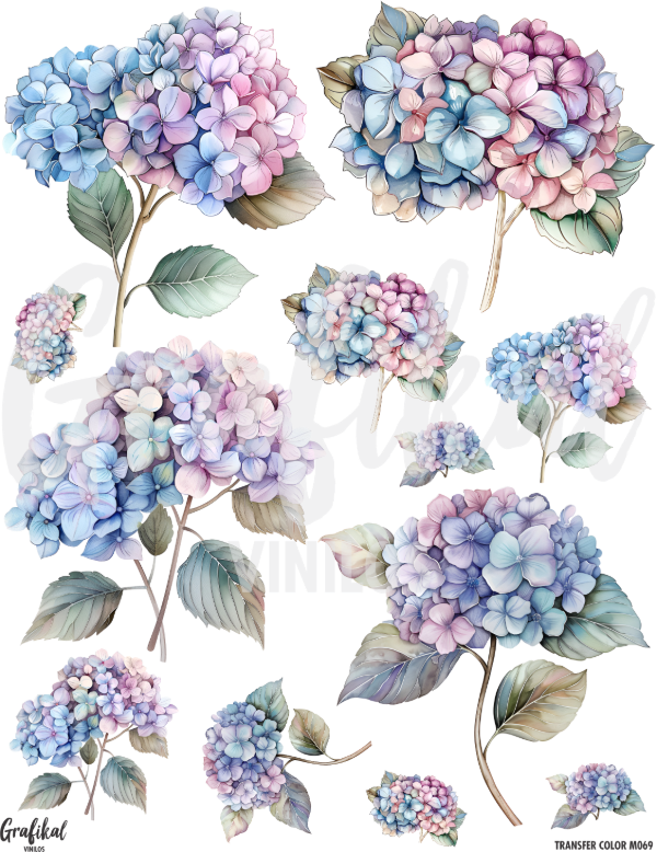 Producto - TransferColor 20x25 069