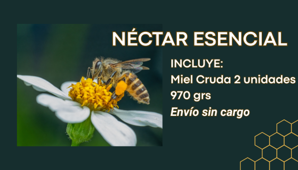Producto - NÉCTAR ESENCIAL - 1