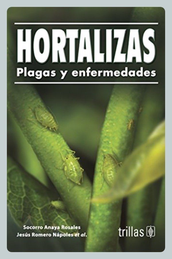 Producto - Hortalizas - Plagas y Enfermedades