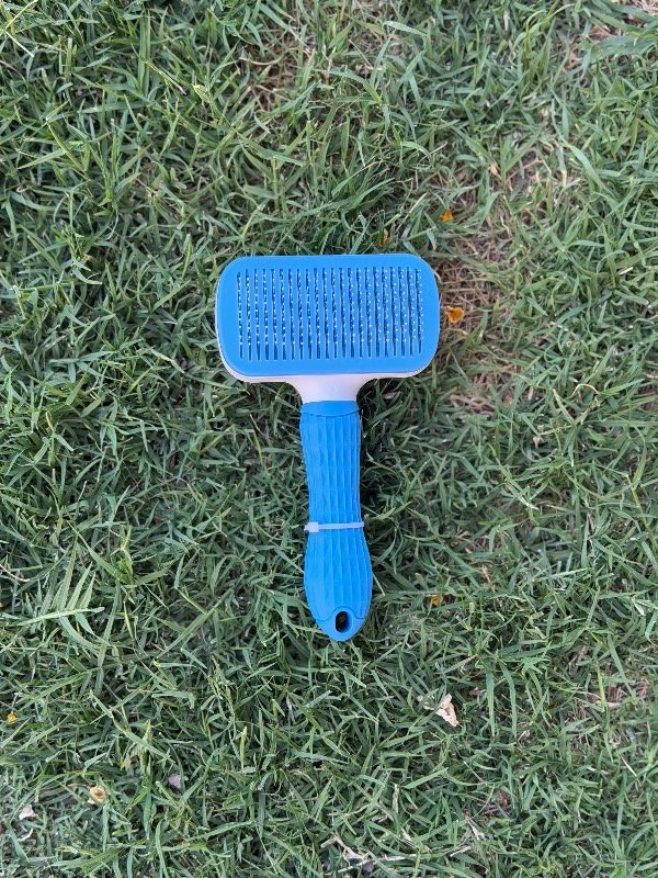 Producto - Cardina con boton