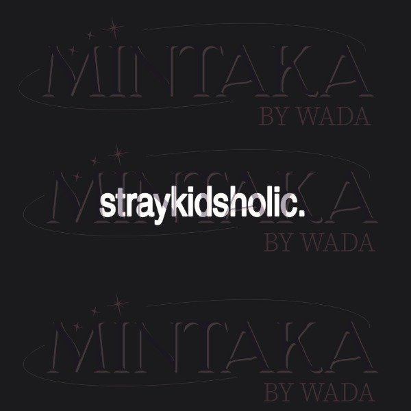 Producto - stray kids x straykidsholic - 1