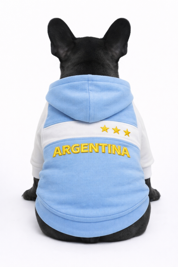 Producto - Campera Bandera