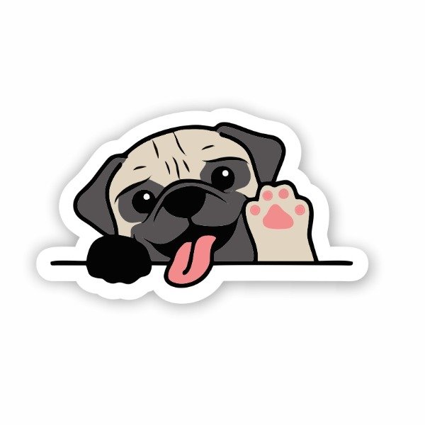 Producto - ST00090 Pug