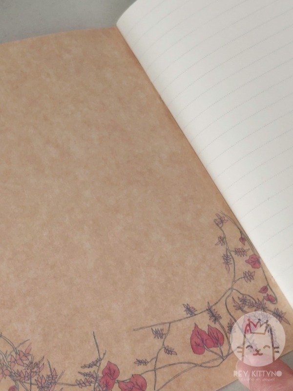 Producto - Cuaderno Cachi - 4