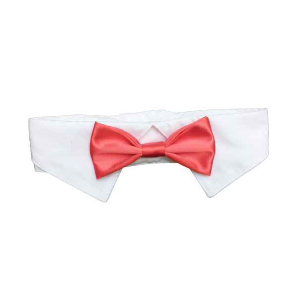 Producto - Cuello y Moño Burgues Rojo