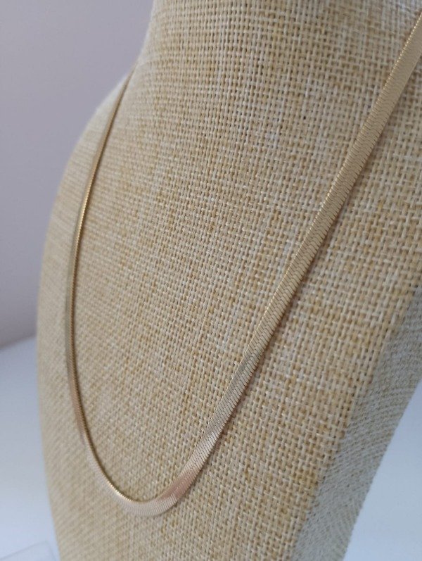 Producto - Collar Vibra - 0