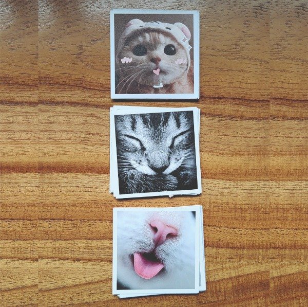 Producto - Gatos - Stickers Tiernos Vinilo (apto agua)