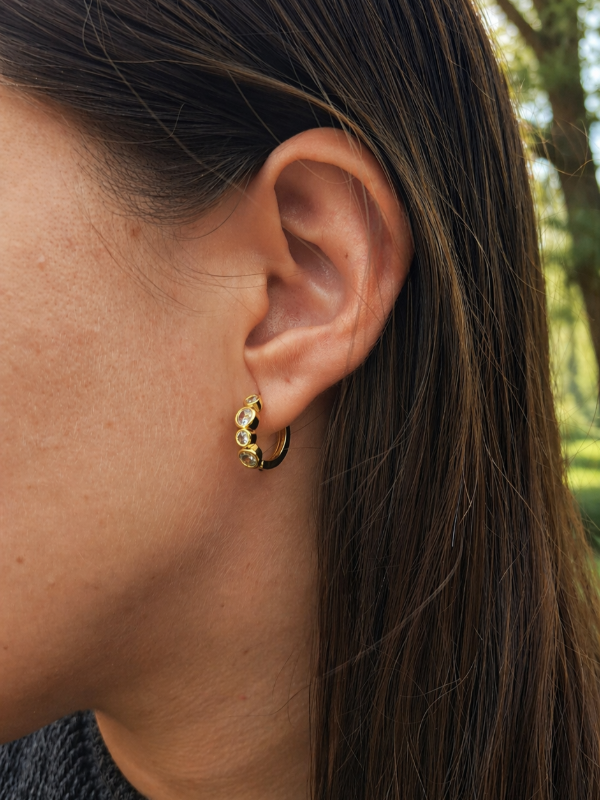 Producto - Aros Aster - 2