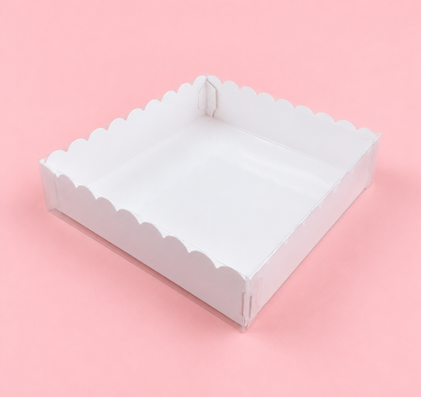 Producto - CAJA TAPA ACETATO COD. 1193 10x3x10 - 0