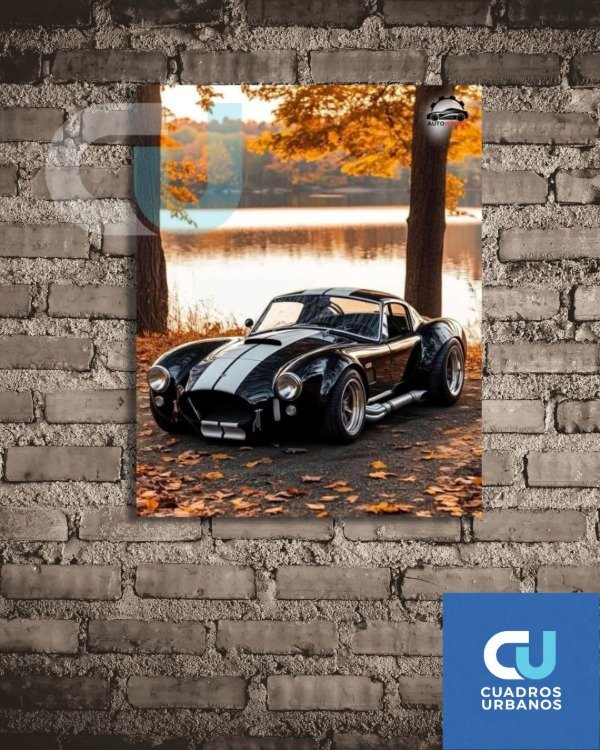 Producto - Autos clasicos 09