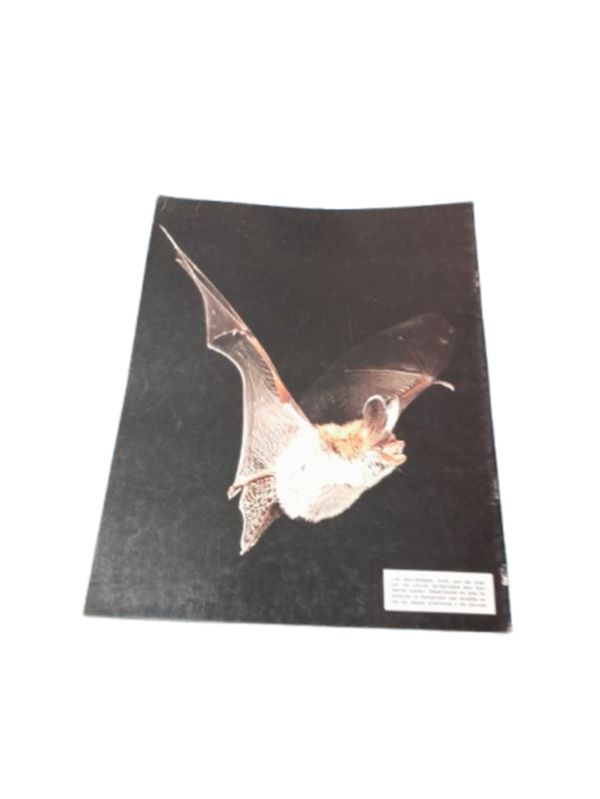 Miniatura de producto - 7