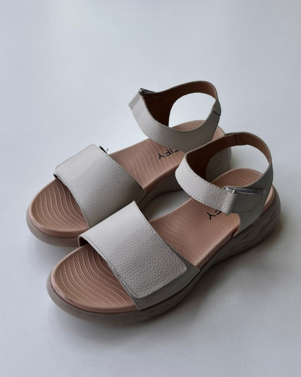 Producto - Identify Hazal