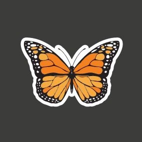 Producto - Mariposa, naranja 23